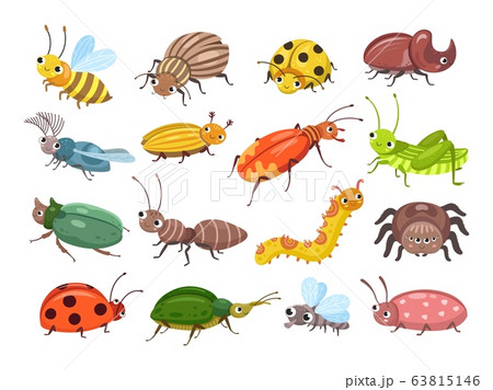 Cartoon beetle. Funny smiling bugs, children beetles. Happy insects, ladybug and caterpillar, larva. Wild forest world vector illustration Cartoon beetle. Funny smiling bugs, children beetles. Happy insects, ladybug and caterpillar, larva. Wild forest world vector illustration 63815146