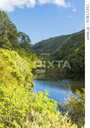 ニュージーランド　ウェリントン　ジーランディア 63817261