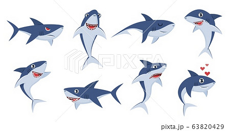 Cartoon Sharks Comic Shark Animals Cute のイラスト素材