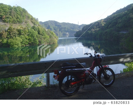 林道探検 ダム湖にて 林道探検 ダム湖にて 63820833