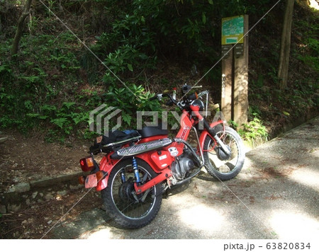 林道探検 林道探検 63820834