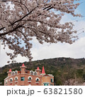 桜 春 春の花 63821580
