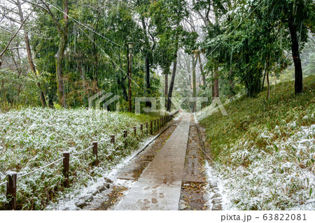 雪の有栖川公園 63822081