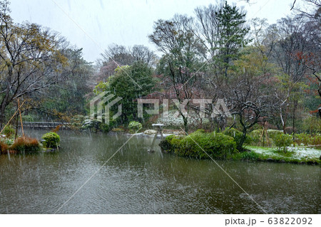 雪の有栖川公園 63822092