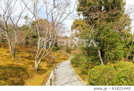 Path of garden of Tenryuji Temple. 63822440