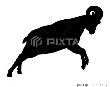 Silhouette of a bighorn sheep Silhouette of a bighorn sheep 63824305