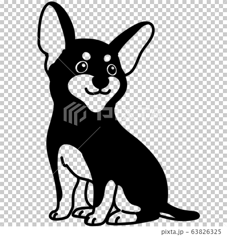 坐微型杜賓犬單色 坐微型杜賓犬單色 63826325