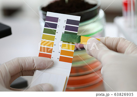 Close-up gloved hands holding litmus indicator Close-up gloved hands holding litmus indicator 63826935