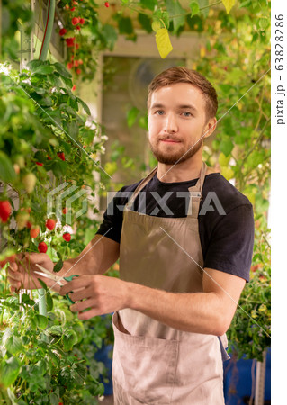 Young hothouse worker in apron Young hothouse worker in apron 63828286