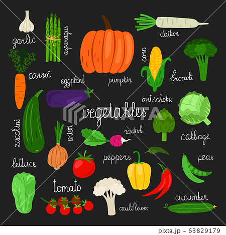 Harvest, fresh vegetables of set vector illustration 63829179