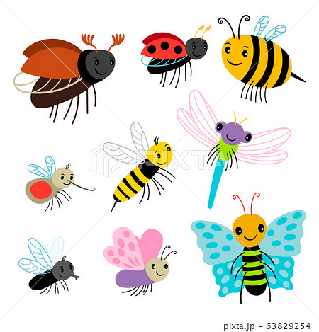Flying insects vector collection - cartoon bee, butterfly, lady bug, dragonfly isolated on white background 63829254