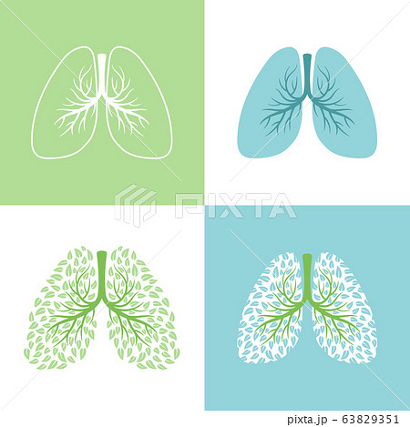 Lunges. lung and bronchus vector illustration, healthy lungs tree with leaves, bronchi human respiration symbols, medicine breathing sign Lunges. lung and bronchus vector illustration, healthy lungs tree with leaves, bronchi human respiration symbols, medicine breathing sign 63829351