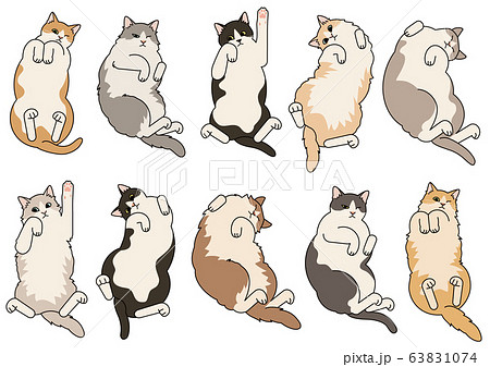 Cats Of Various Types Sleeping Around No Stock Illustration