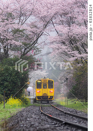 豊後中川駅の桜 63832814