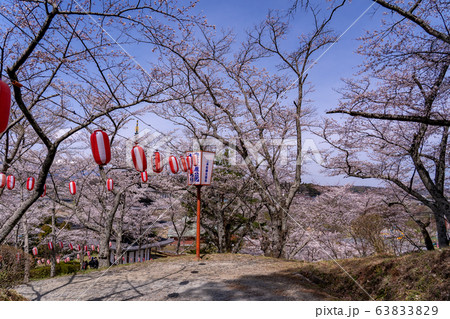 福島県二本松市　春の安達ヶ原ふるさと村　さくらまつり 63833829