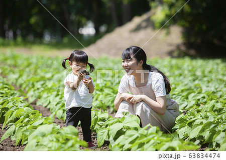 農家の親子 農家の親子 63834474