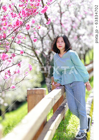 引地橋の花桃 63834702