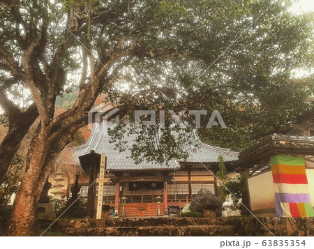 大樹寺 63835354
