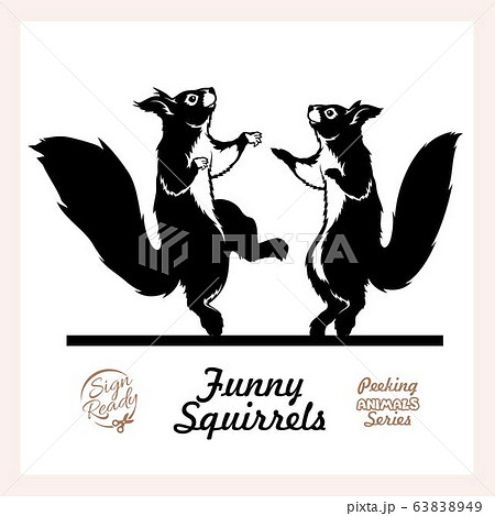 Two funny Squirrels dancing isolated on white Two funny Squirrels dancing isolated on white 63838949