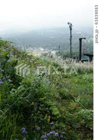 鳥取 四季の散歩 秋 大山 鳥取 四季の散歩 秋 大山 63839083
