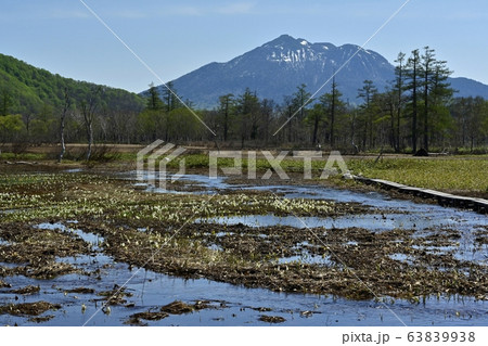 ミズバショウ咲く尾瀬ヶ原と燧ヶ岳 ミズバショウ咲く尾瀬ヶ原と燧ヶ岳 63839938