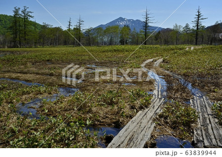 尾瀬ヶ原と燧ヶ岳に木道 63839944