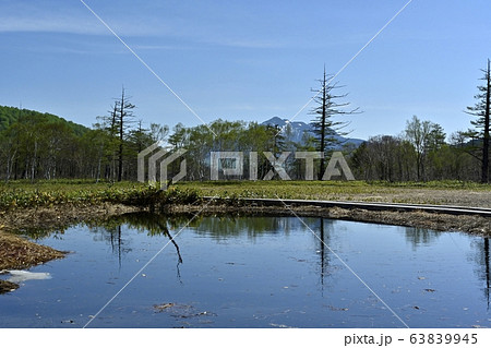 尾瀬ヶ原の池塘と燧ヶ岳 63839945