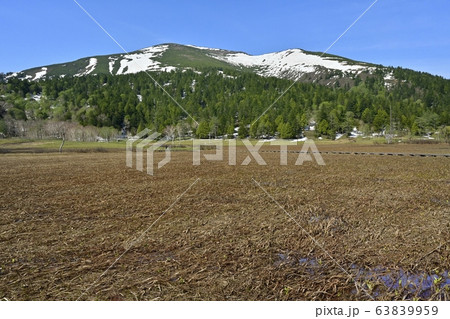 ミズバショウ咲く尾瀬ヶ原と至仏山 ミズバショウ咲く尾瀬ヶ原と至仏山 63839959