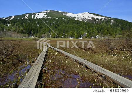 ミズバショウ咲く尾瀬ヶ原と至仏山に木道 ミズバショウ咲く尾瀬ヶ原と至仏山に木道 63839960