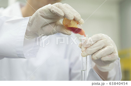 科学 理科 サイエンス 63840454