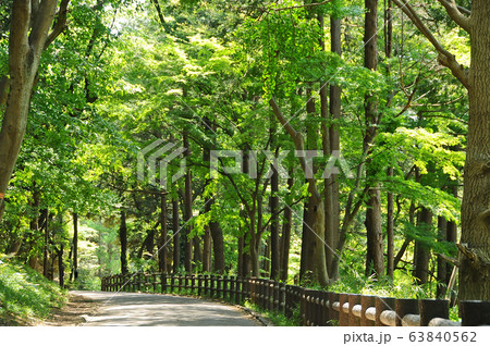 横浜市児童遊園地 横浜市保土ヶ谷区の写真素材