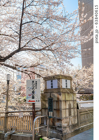 日本の春 東京都板橋区 石神井川緑道沿いの桜並木 63840615