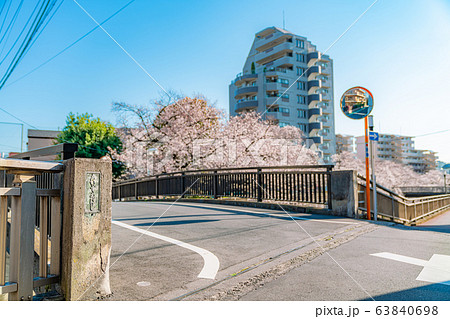 日本の春 東京都板橋区 石神井川緑道沿いの桜並木 日本の春 東京都板橋区 石神井川緑道沿いの桜並木 63840698