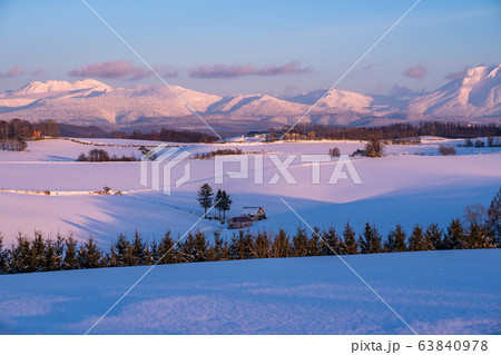 《北海道》冬の美瑛・白銀のメルヘンの丘と十勝岳連峰 63840978