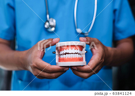 Close portrait of young woman dentist holding artificial tooth in dentist room. Close portrait of young woman dentist holding artificial tooth in dentist room. 63841124