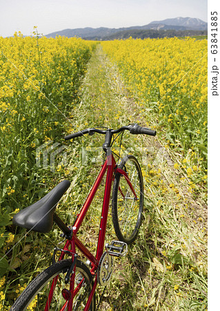 赤い自転車と菜の花畑 63841885