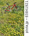 赤い自転車とタンポポ 63841921