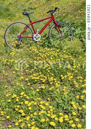 赤い自転車とタンポポ 赤い自転車とタンポポ 63841921