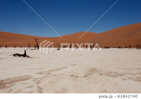 Dead Vlei Dead Vlei 63842740