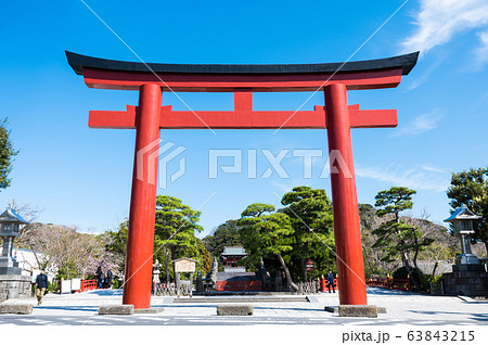 鶴岡八幡宮 三の鳥居 神奈川県鎌倉市 年3月現在の写真素材