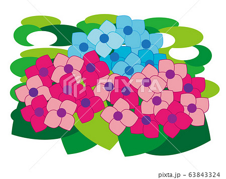 木陰ごしの紫陽花 木陰ごしの紫陽花 63843324