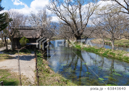 大王わさび農場の水車小屋 長野県安曇野市 大王わさび農場の水車小屋 長野県安曇野市 63843640