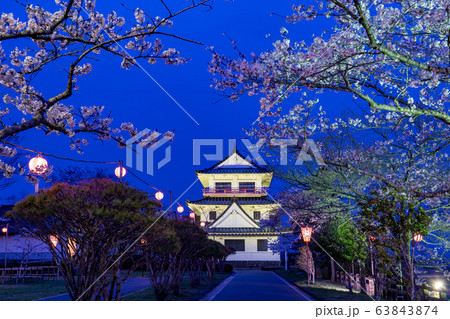 宮城県遠田郡　涌谷町　春の城山公園　満開の桜とライトアップ 63843874