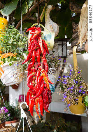 Bundle of red chili peppers 63846177