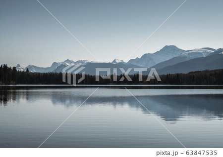 Canadian Rockies with pine forest and clear sky 63847535