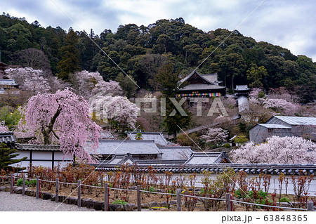 奈良県 総本山長谷寺 春 奈良県 総本山長谷寺 春 63848365