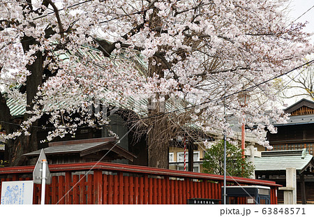 街風景 春の川越 街風景 春の川越 63848571