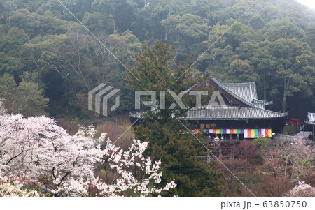 長谷寺 本堂 長谷寺 本堂 63850750