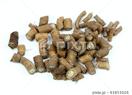 Fresh root from Echinacea angustifolia on white 63853026