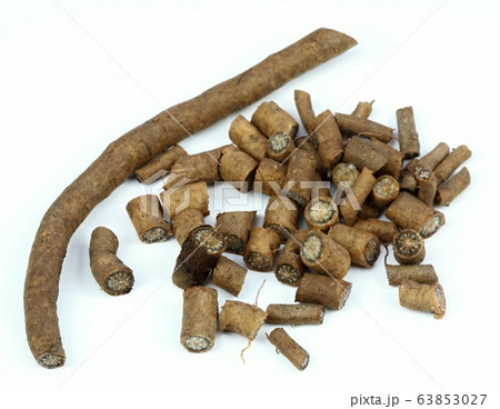 Fresh root from Echinacea angustifolia on white 63853027